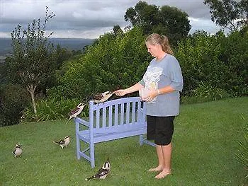 Ninderry Manor Luxury Retreat Bed & Breakfast Sunshine Coast Avustralya