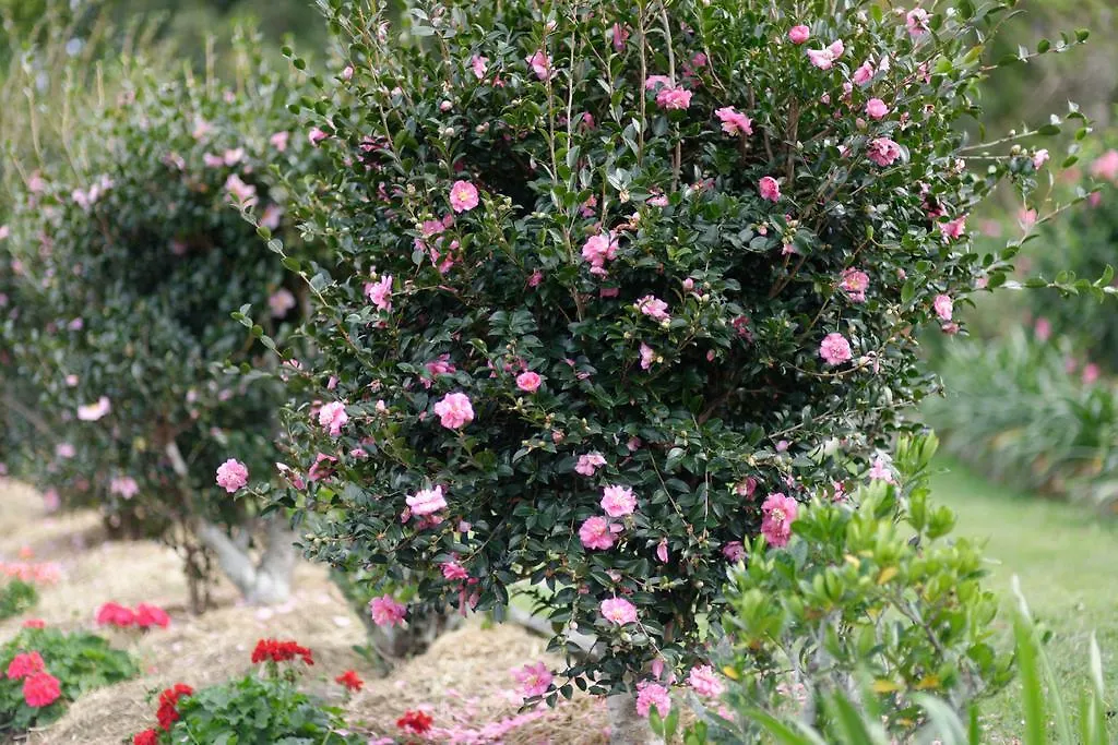 **** Bed & Breakfast Ninderry Manor Luxury Retreat Bed and Breakfast Sunshine Coast Australië